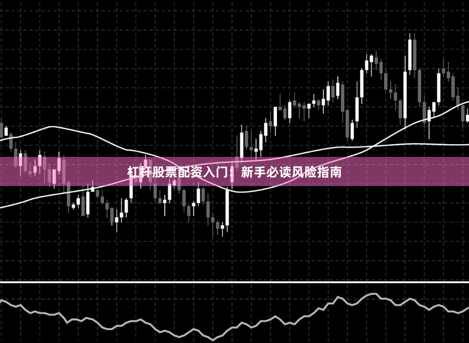杠杆股票配资入门：新手必读风险指南